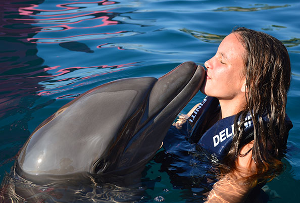 Beso Delfín